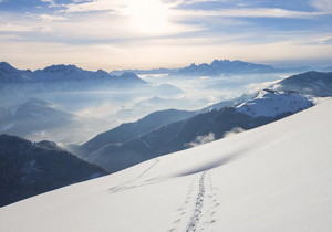 救命🆘 网上兼职防诈骗指南！新手必看，避开99%的坑，不被骗一分钱