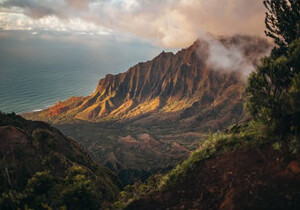 救命🆘 网上兼职防诈骗指南！新手必看，避开99%的坑，不被骗一分钱
